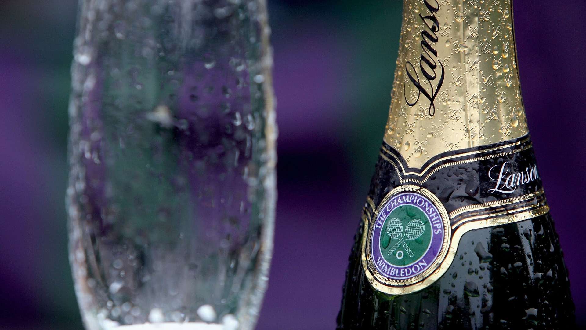 准的拦网一 准的拦网一